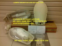Lampu Jalan PJU Mini LHE E27 23W Philips
